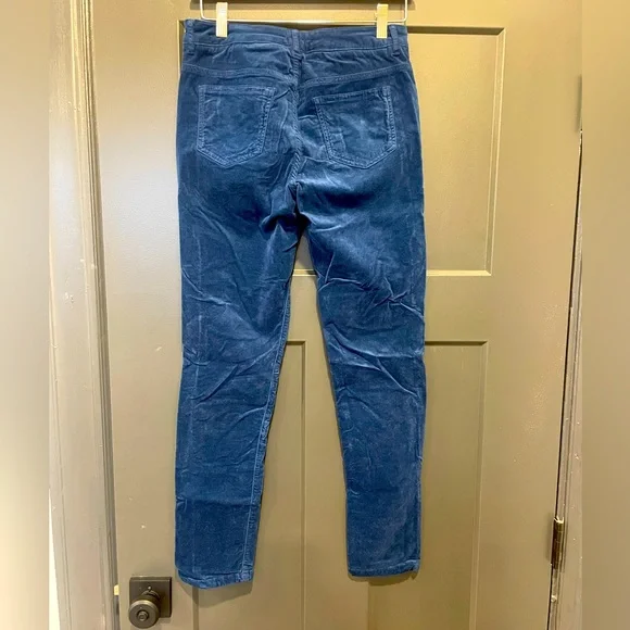 J. McLaughlin blue velvet Watson suede skinny pants size 2 - Picture 3 of 6